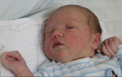 Szathmáry Tamara Sára 