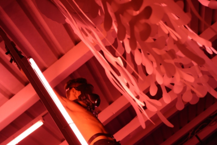 Club Mundo -  Muzzaik 2013.05.25 (szombat) (2) (Fotók:Vertigo)