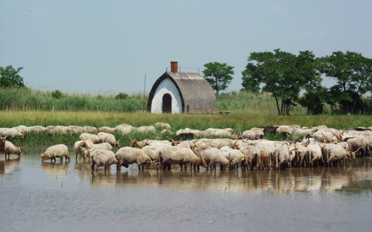 Turisztikai fejlesztések indulnak a Fertő- tájon 