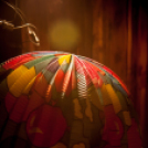 Lapos 2013.01.04. (péntek) (1) (Fotók: K. Balázs)