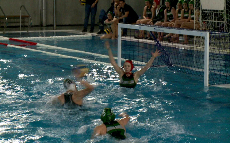 Zöld- fehér derbi az OB I-ben