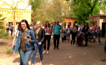 Mintegy tízezren majálisoztak