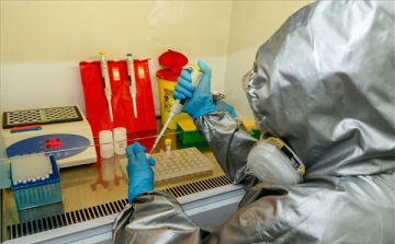 A SARS-COV-2 vírus ellen hatékony, parányi antitestkomponenst találtak amerikai kutatók
