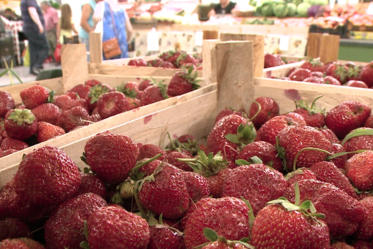 Hasonló a gyümölcs ára a tavalyihoz