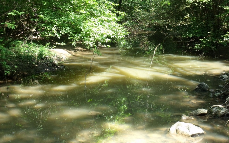 Holttestet találtak Sopronban, az Ikva patakban ( Frissítve )