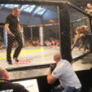 2015.05.09. Profi MMA Gála fotók:árpika