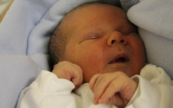 Nyári Norbert Valentínó