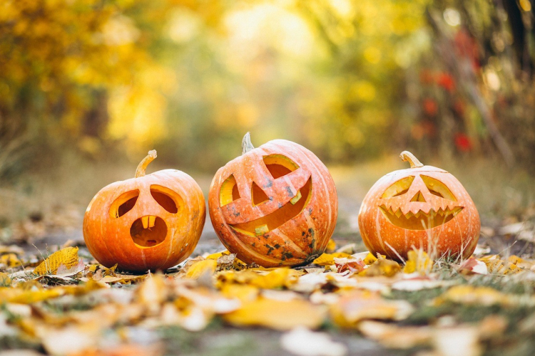 A Halloween tökök utóélete