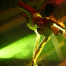 Club Mundo -  Julia Carpenter 2013.05.11. (szombat) (1) (Fotók:Vertigo)