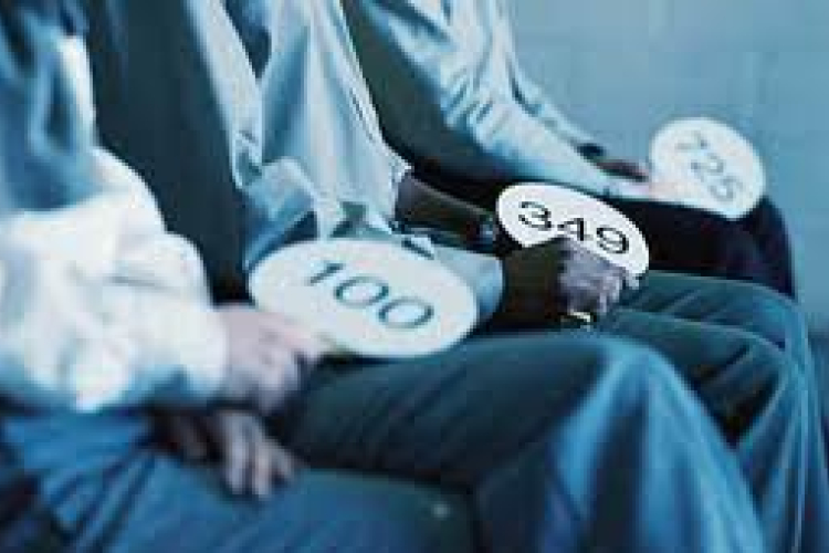 Rekordösszeget költöttek el tavaly a csehországi képzőművészeti árveréseken