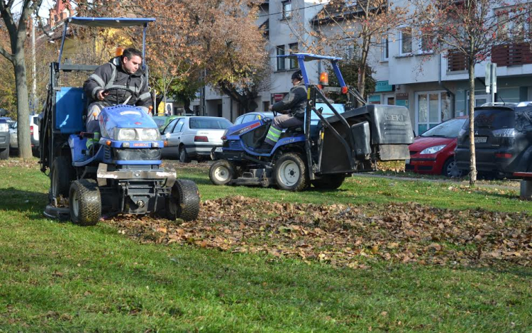 Minden városrészben zajlik a falevélgyűjtés 
