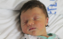 Böröcz Olivér Attila 