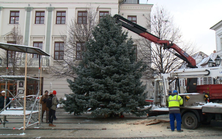 Megérkezett a Széchenyi térre a mindenki karácsonyfája