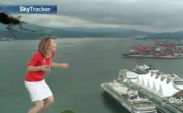 Élő adás közben kezdett el menekülni a pók elől - Videó!