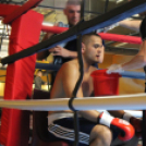 2013.02.16.Szombat Profi MMA És Box Mérkőzés Fotók:árpika