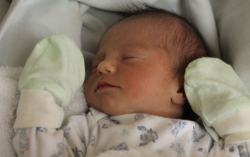 Pogrányi Marcell István 