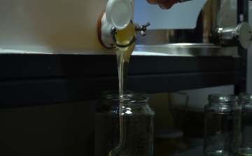 Bajban vannak a méhészetek