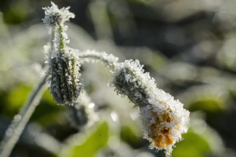 Száraz idő lesz az év utolsó két napján 