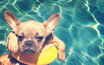 Hőségriadó országszerte: 31-34 fok közé is emelkedhet a hőmérséklet