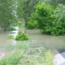 Olvasónk képei az árvízi védekezésről