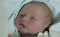 Berta György Lőrincz