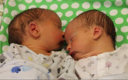 Sánta Dávid és Dániel 