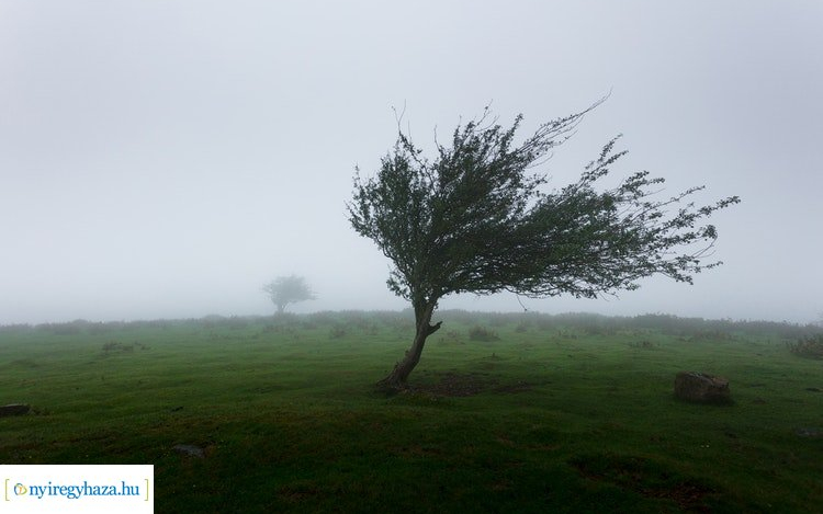 Országszerte kiadták az elsőfokú figyelmeztetést a viharos szél miatt