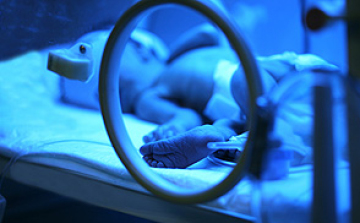 Titokban adnak életet a kis angyaloknak...