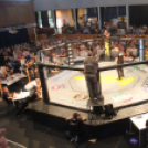 2015.05.09. Profi MMA Gála fotók:árpika