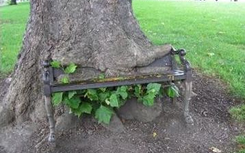 A természet győz! Képgyűjtemény!