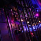 Club Vertigo - Ladies Free  Led & Fetish Party 2013.01.19. (szombat) (1) (Fotók: Vertigo)