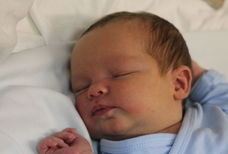 Horváth Gábor János 