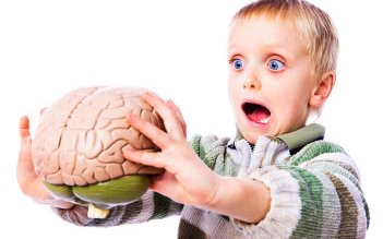 A szegénység az agyra lehet káros