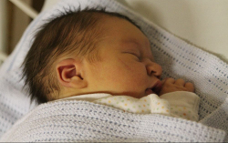 Szabó Gergely Nimród 