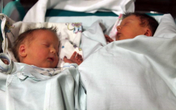 Merkel Szabolcs és Merkel Hunor 