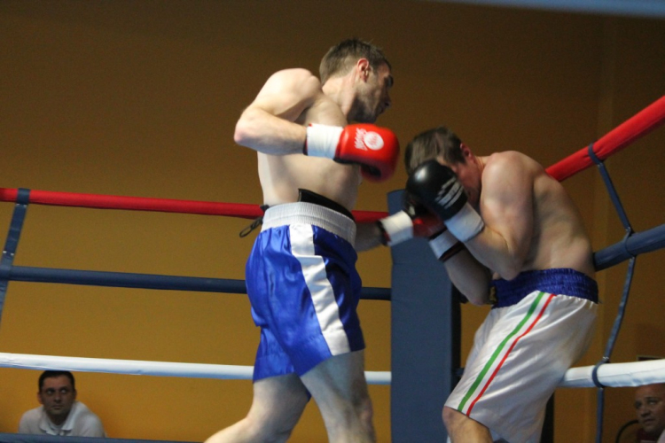 2013.02.16.Szombat Profi MMA És Box Mérkőzés Fotók:árpika