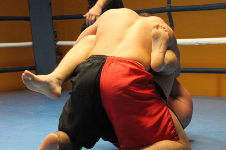 2013.02.16.Szombat Profi MMA És Box Mérkőzés Fotók:árpika