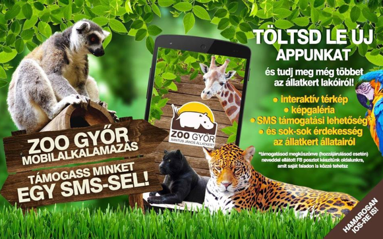 Az állatkertek éjszakáján érdekes programok várják a látogatókat a győri állatkertben