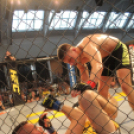 2015.05.09. Profi MMA Gála fotók:árpika