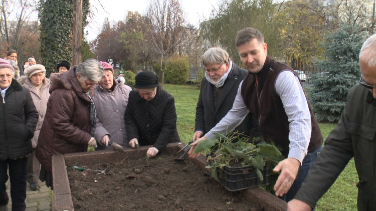 Generációkat hozhat össze a kertészkedés