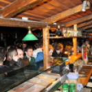 2013.03.13.Szerda Lapos Fotók:árpika