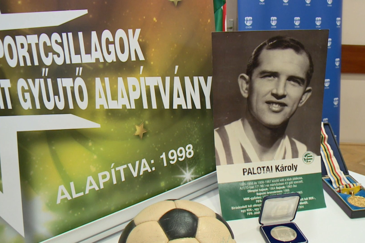 Emlékoszlopot állítanak Palotai Károly tiszteletére Győrben