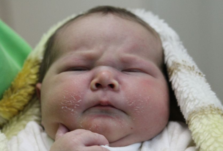 Póczik Nóra Ildikó