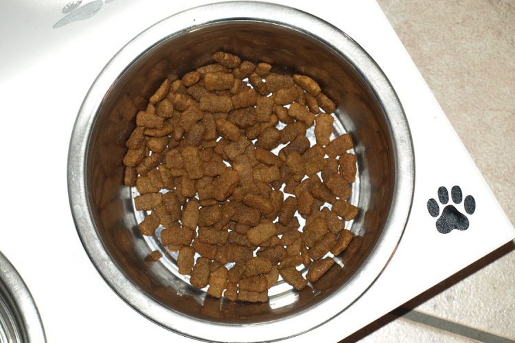 Több állateledelt is visszahívtak a forgalomból