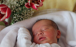 Horváth Karina Hanna