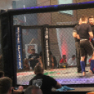 2018.04.28. WHB Amatőr MMA magyar kupa és Bothúzó bajnokság Fotók:árpika