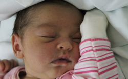 Andrási Viktória Vanessza