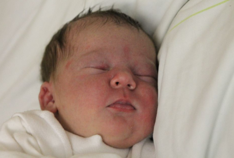 Knoll Maja Viktória 