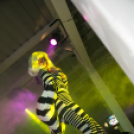 Club Mundo -  The Residents 2013.08.31. (szombat)