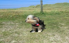 Országszerte gondokat okozott a szél és az eső